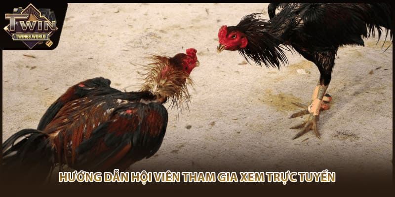 Hướng dẫn hội viên tham gia xem trực tuyến