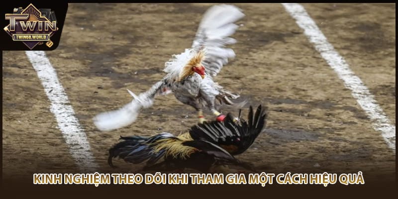 Kinh nghiệm theo dõi khi tham gia một cách hiệu quả