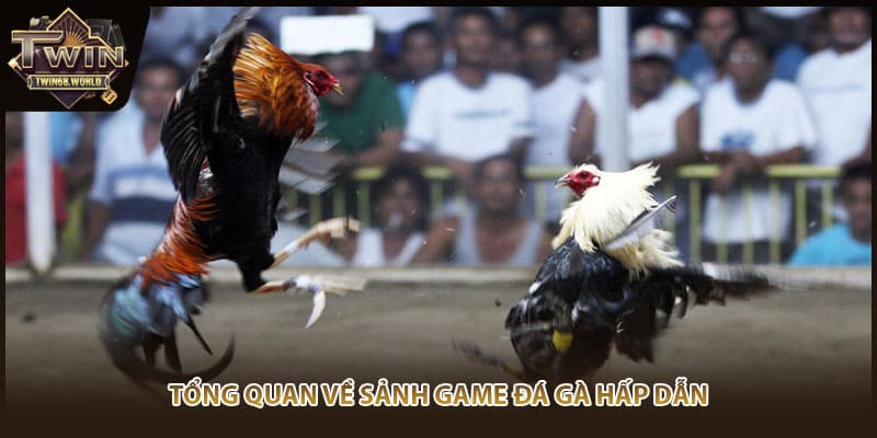 Tổng quan về sảnh game đá gà hấp dẫn